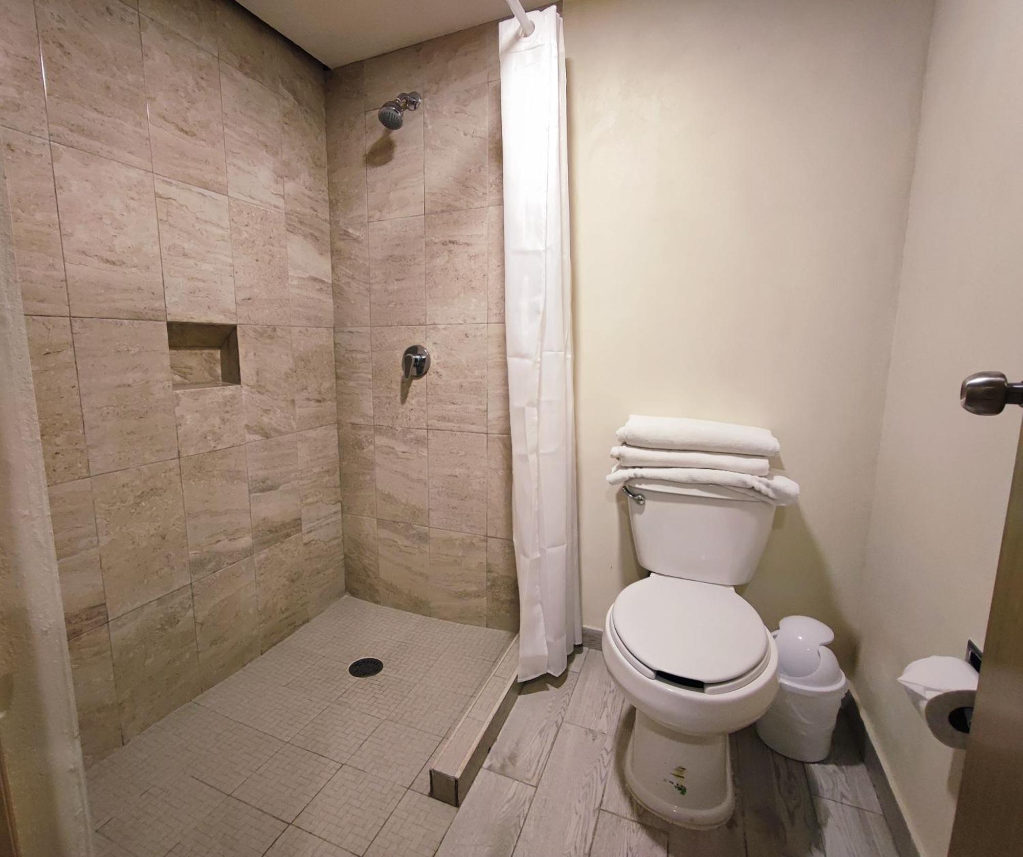 Hotel Plaza Morelos トルーカ エクステリア 写真